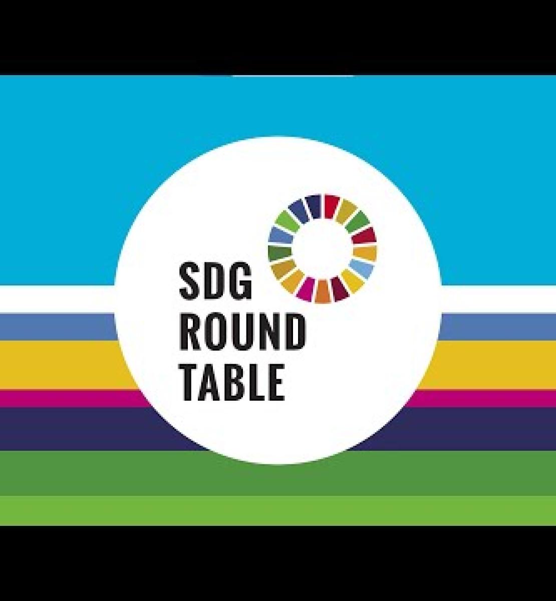 会前畅谈“聚焦可持续发展目标”：联合国驻地协调员圆桌会议 