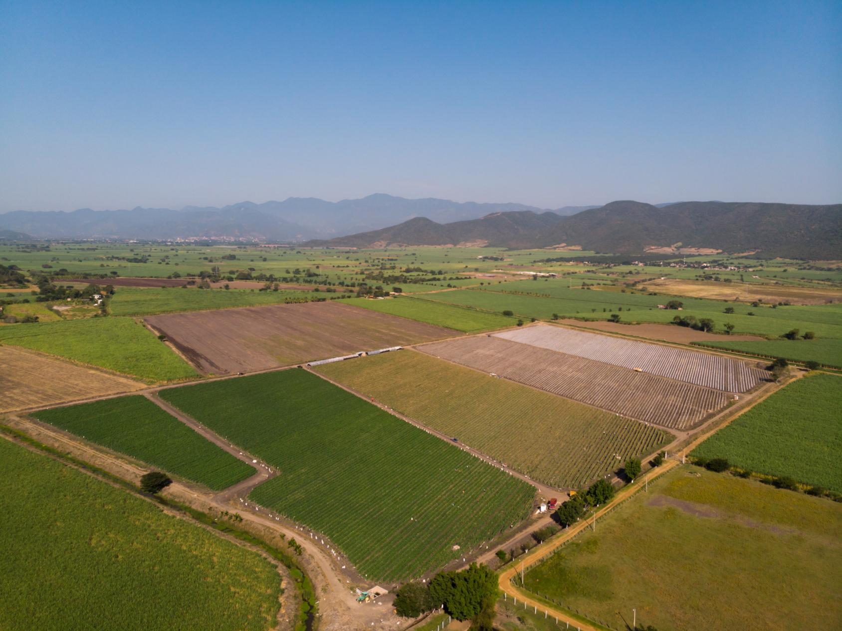 An areal shot of fields with mountains in the background. 