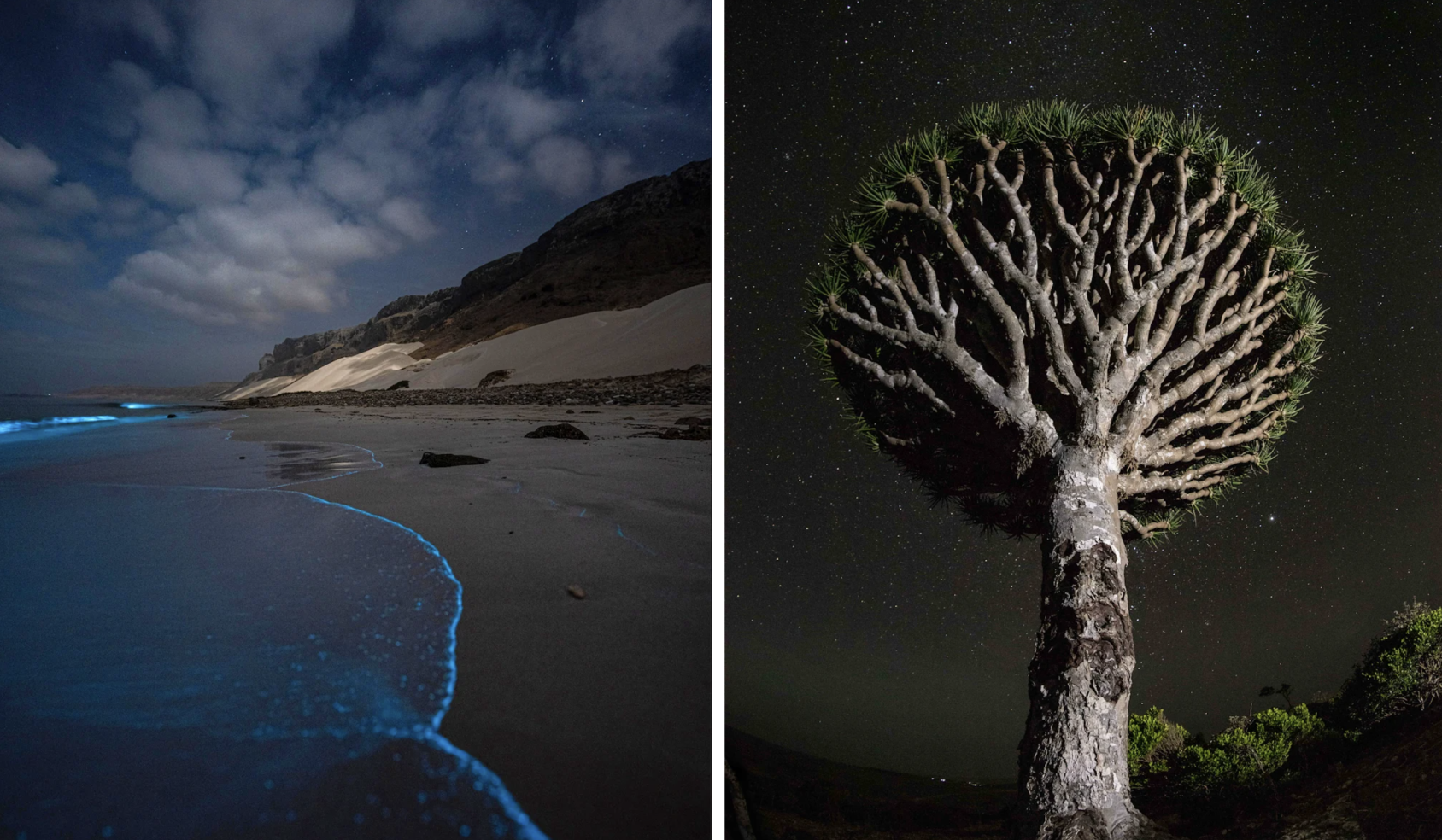 Deux photos juxtaposées : l'une est celle d'une plage vue de nuit et l'autre celle d'un dragonnier de Socotra s'élevant vers un ciel étoilé.