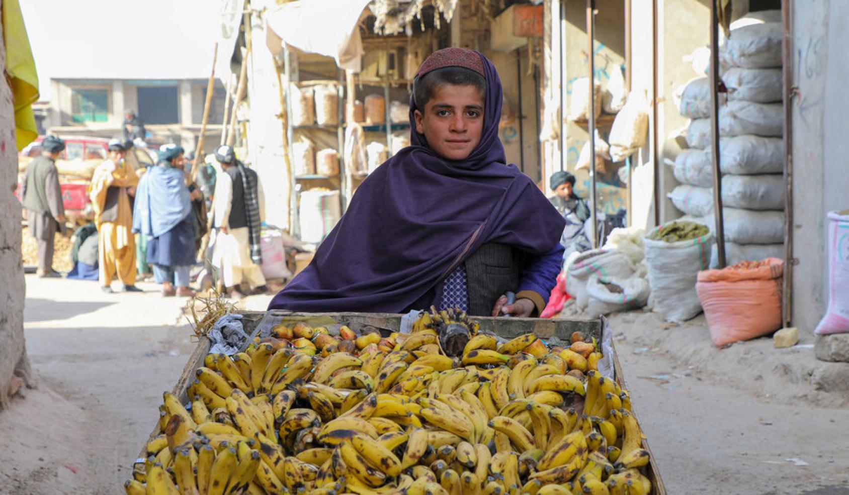 在阿富汗西部的乌鲁兹甘省，一名不上学的12岁男孩正在卖香蕉。