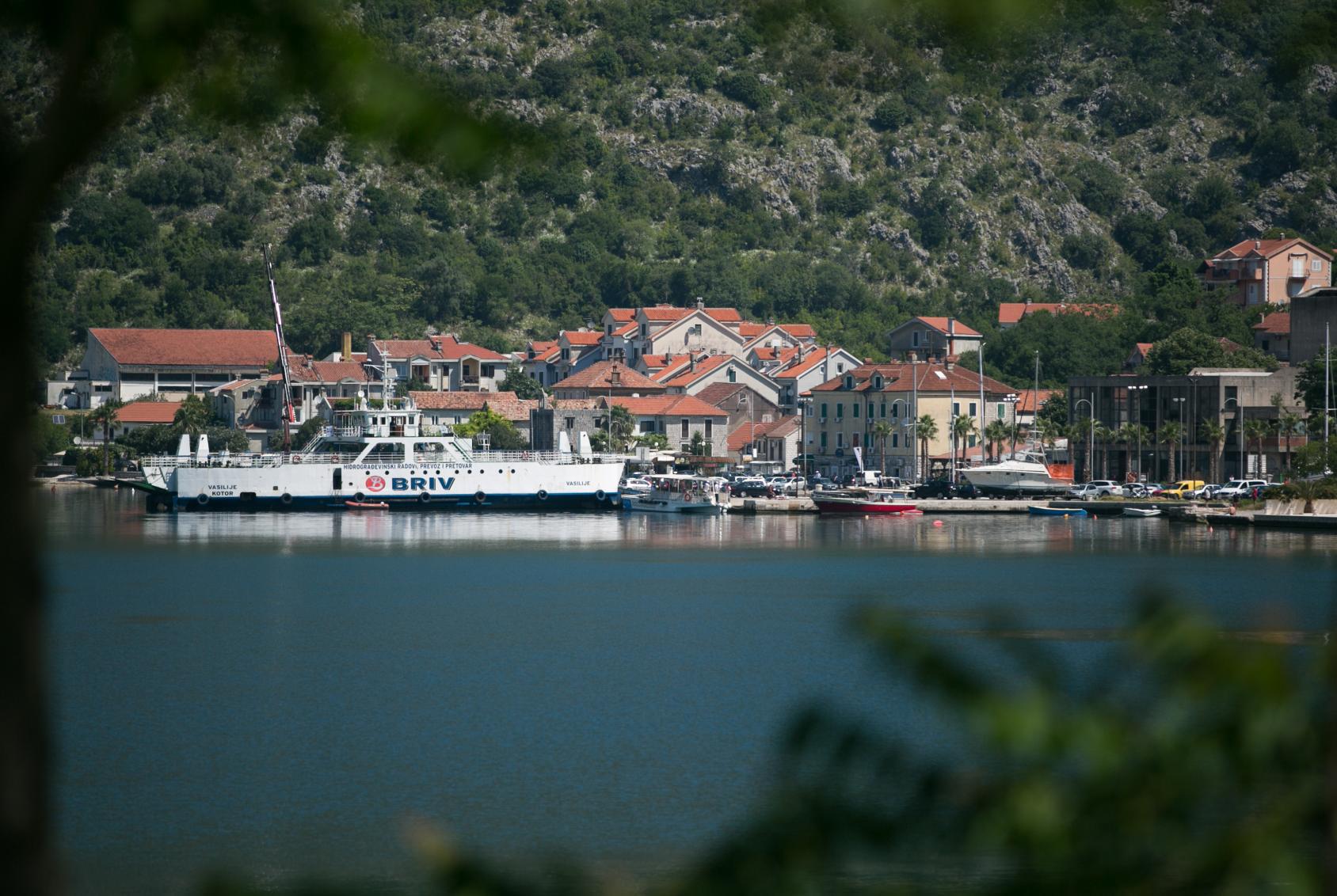 An image of a harbor with boats, buildings, and trees in the background.