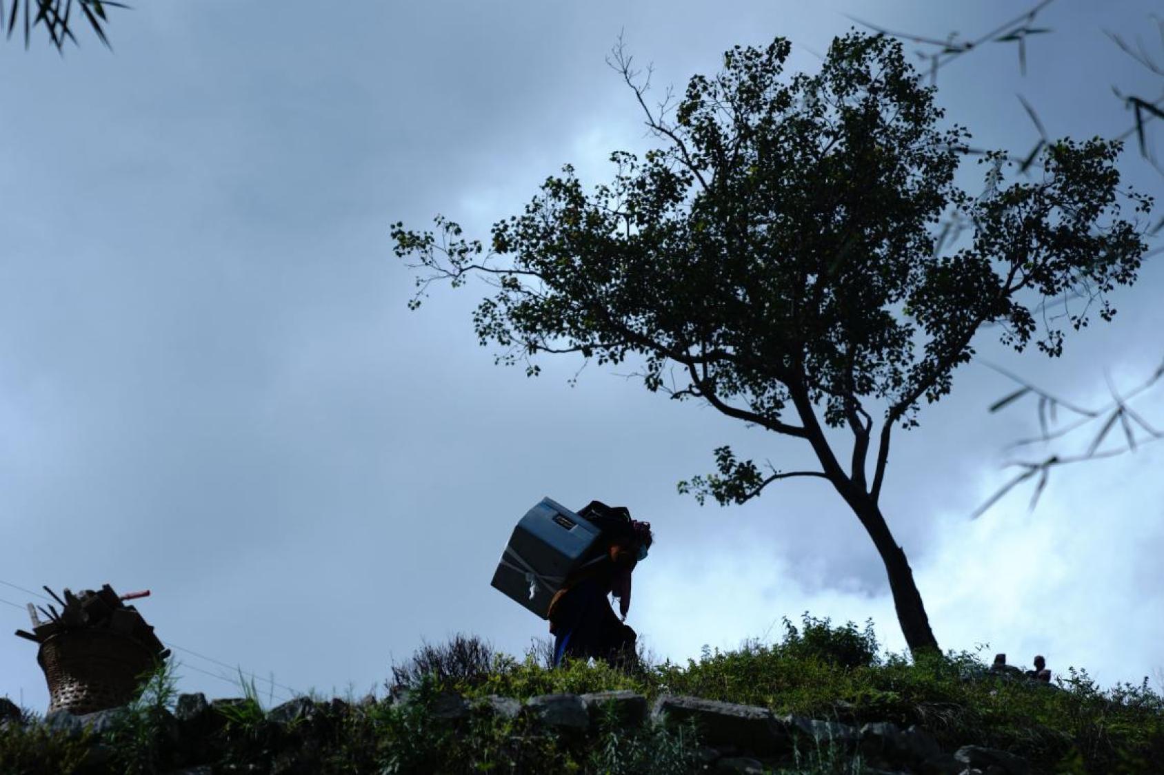 Una imagen oscura de una mujer con una caja en la espalda cerca de un árbol.