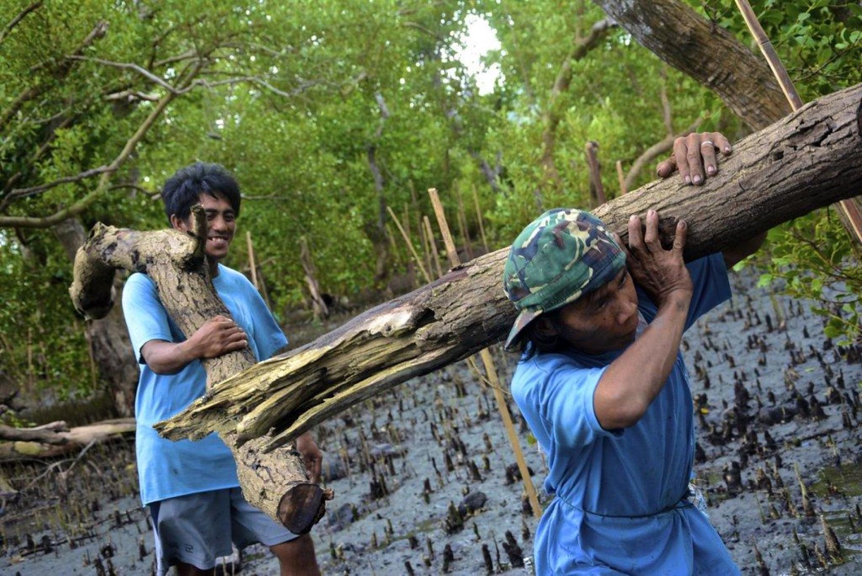 Two men carry a large log across a swamp. One man smiles as he holds the log on his shoulder.