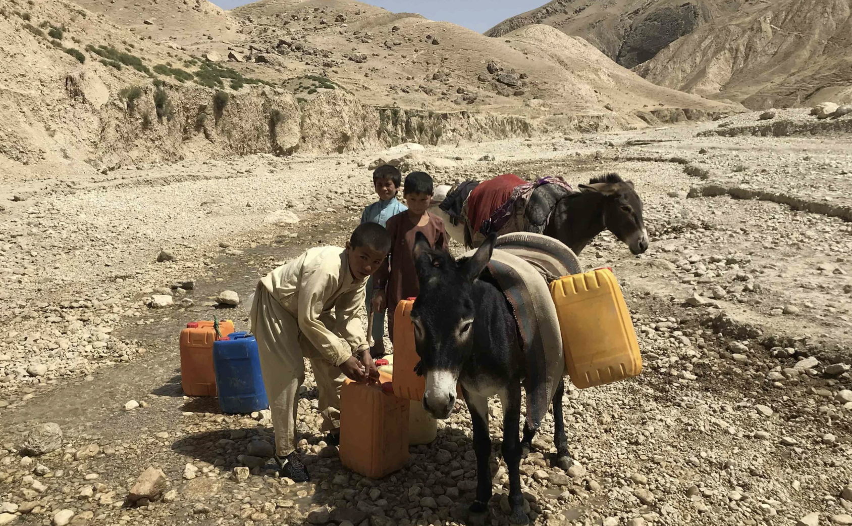 Los chicos transportan agua en cántaros sobre mulas.