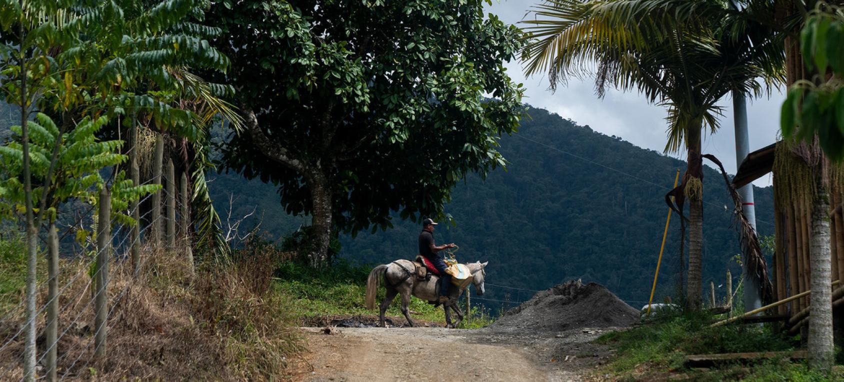 A man is seen at the end of a dirt road sitting on a horse outside near lush green land.