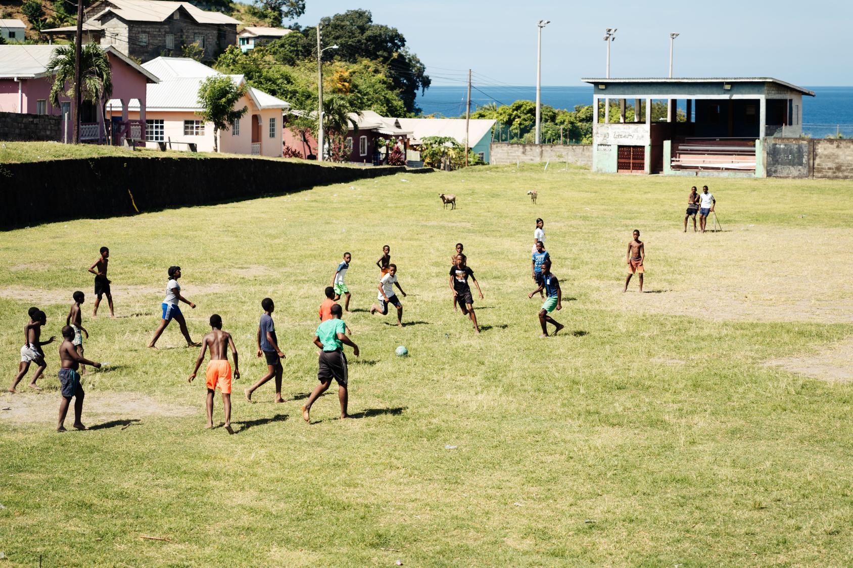 Niños y niñas jugando al fútbol en una zona de césped.