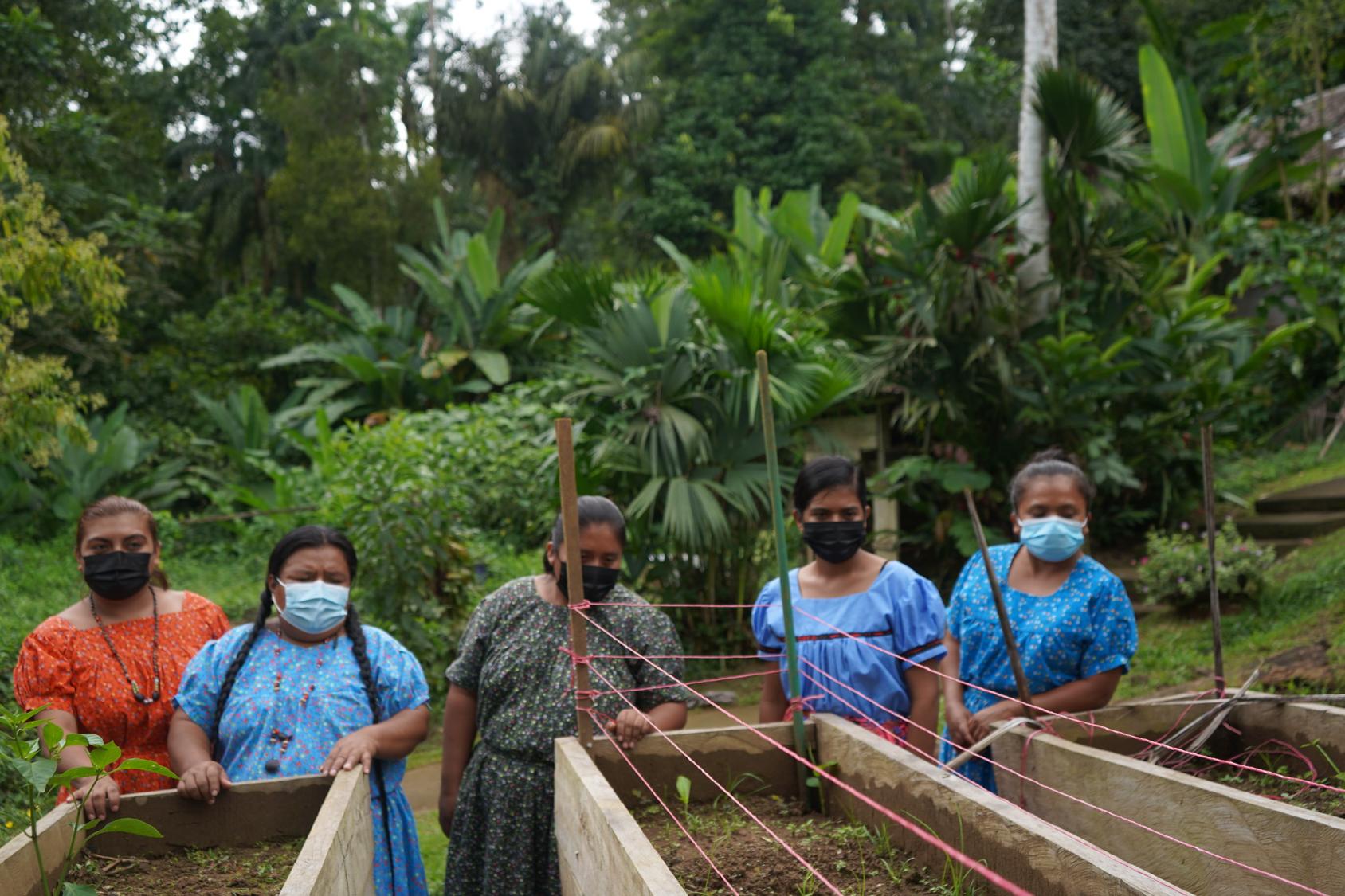 Au Panama, cinq femmes issues d’une communauté autochtone se tiennent debout à la lisière d’une forêt, devant des bacs de terre en bois, un masque de protection respiratoire sur le visage.