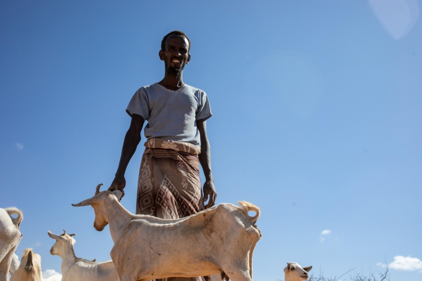 A man stands under a blazing sun surrounded by his livestock 