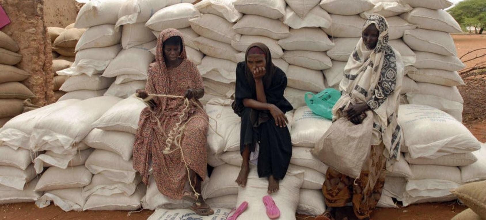 Three women sitting on the sacks of rice.