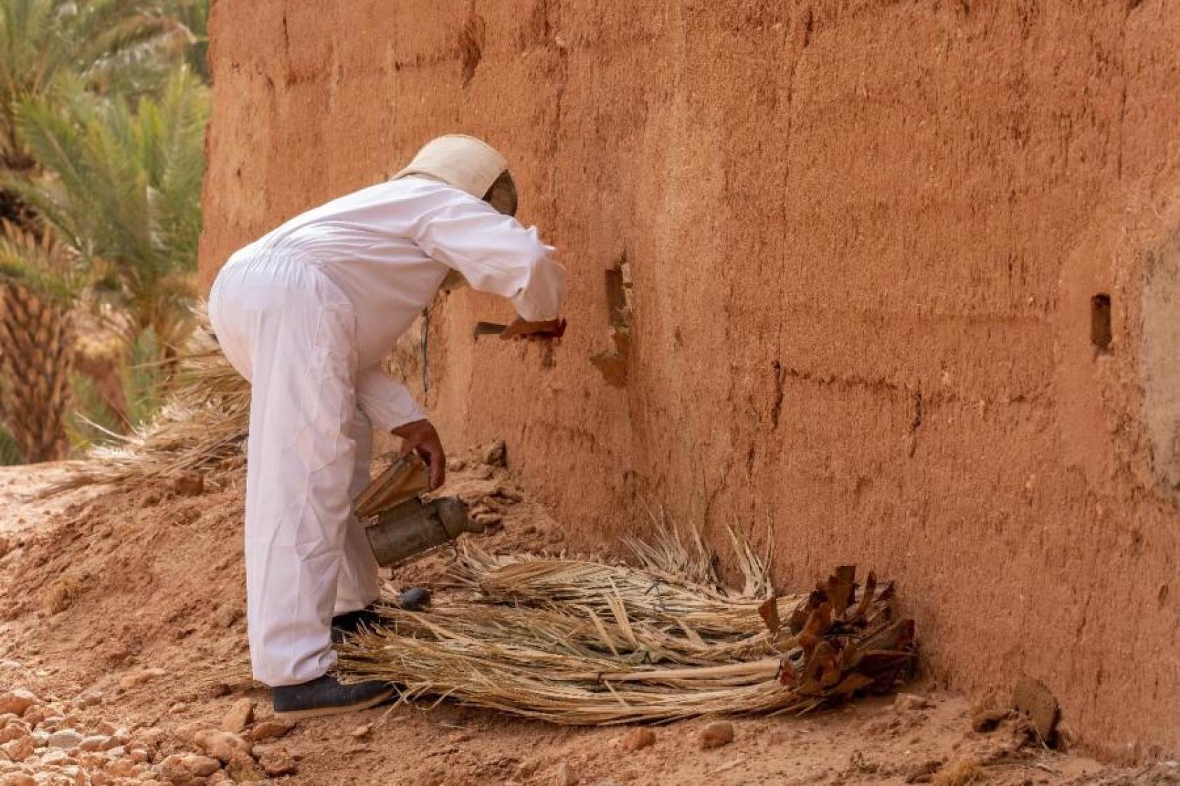 A person in white linen clothing stands against a light brick colored wall, hovering over dried palm branches and reaching into a space in the wall.