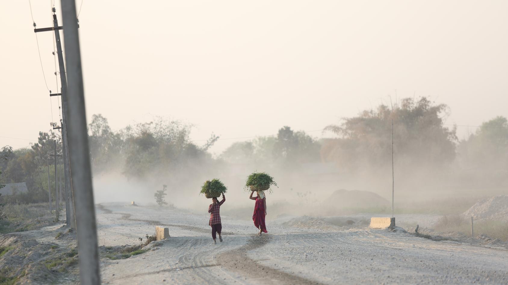 Women returning home holding piles of grass in Bardiya District, Nepal.