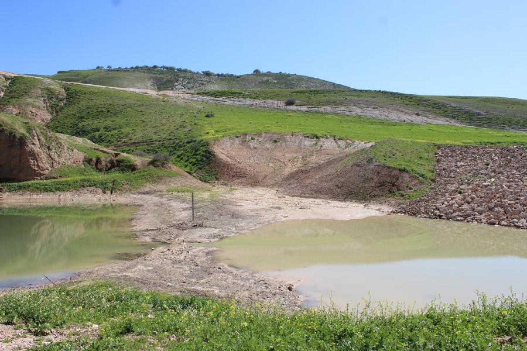 Green valley like location in jordan with water that has been harvested
