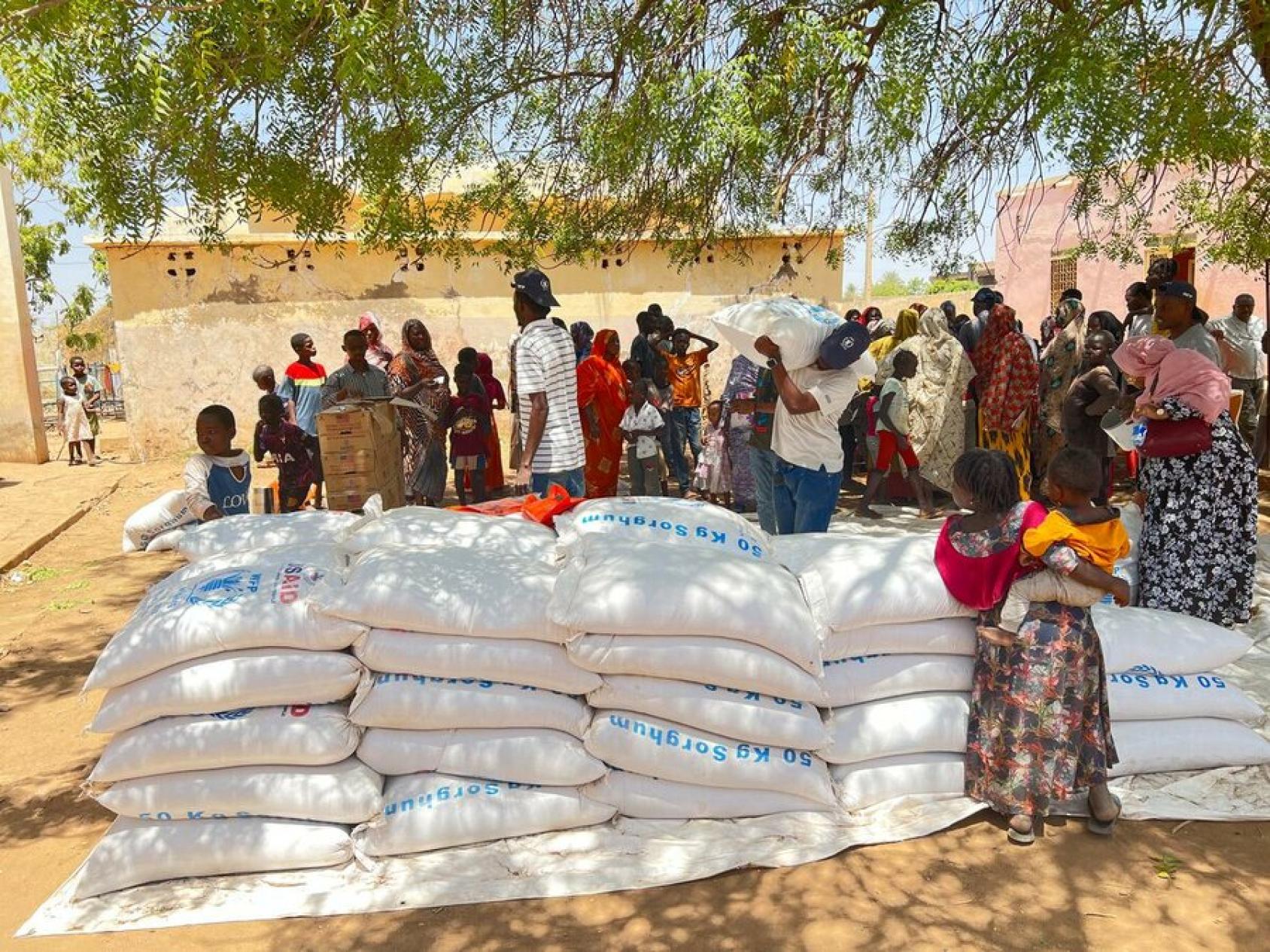 Group of people gather around a stack of numerous bags of grain in Sudan