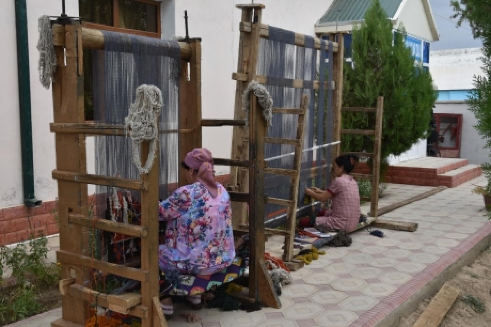 粮农组织与乌兹别克斯坦的农村妇女合作，培训其改善森林资源管理，了解她们在森林部门的权利和机会，并实现创收活动多样化。