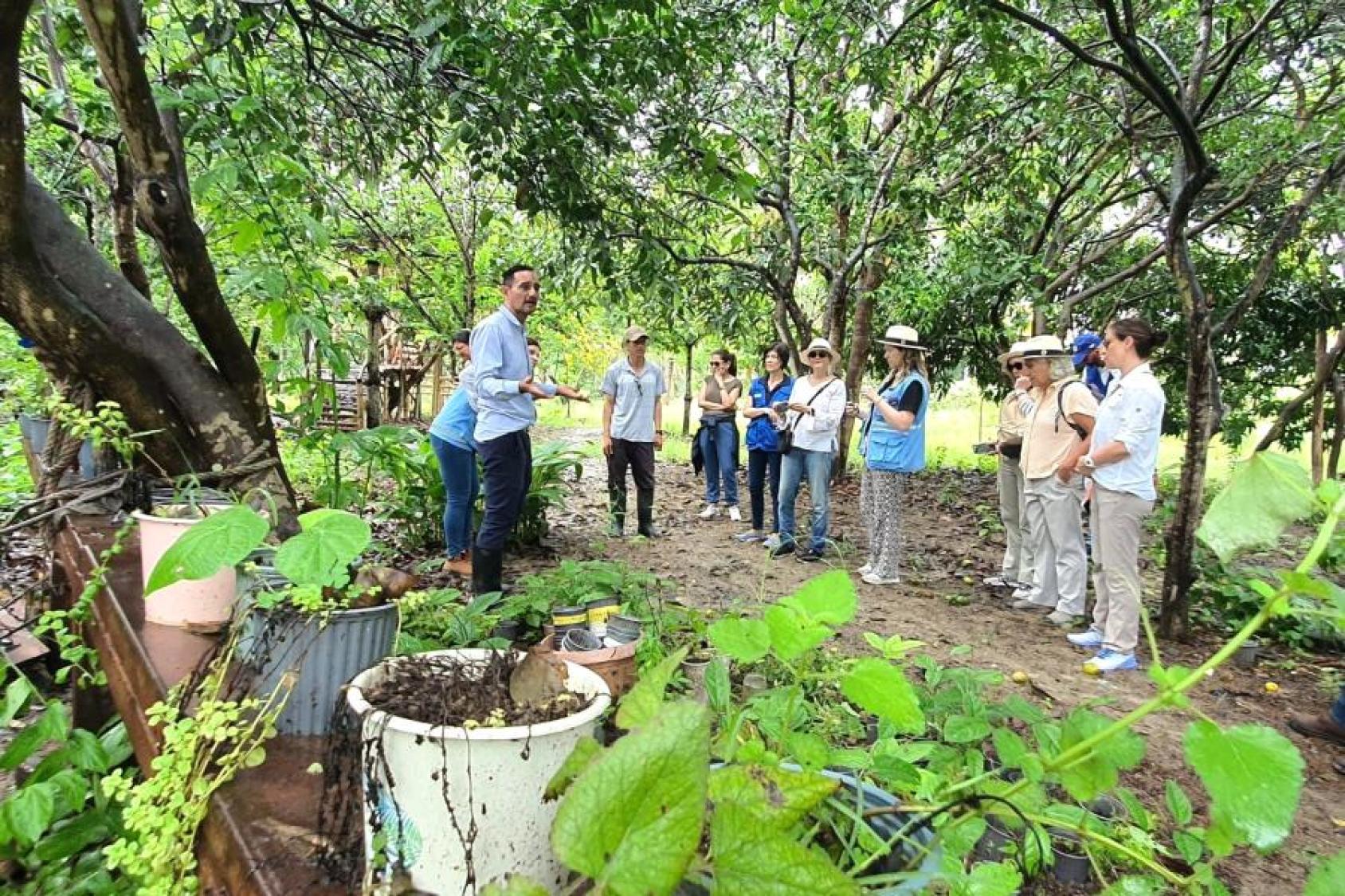 In a green farm, a group of people gather and listen to a farmer in a blue shirt pointing to plants