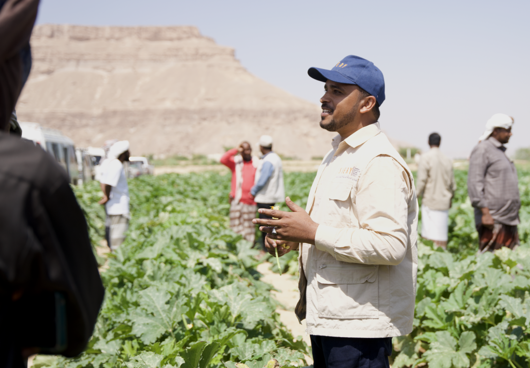 A man in a white shirt and blue cap stands in a green farm while farm workers work in the background