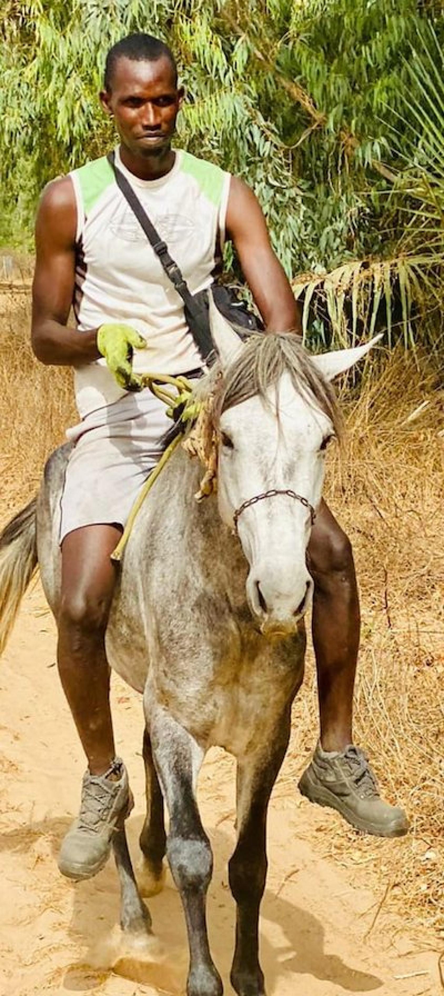 A man in a white shirt rides a donkey in a dusty village