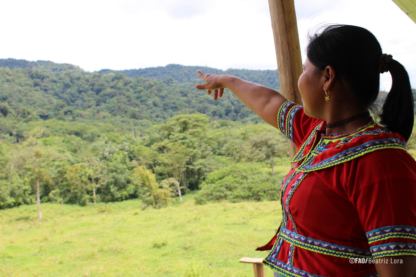 An indigenous woman in Guatemala in a colourful red dress points to the greenery in the distance
