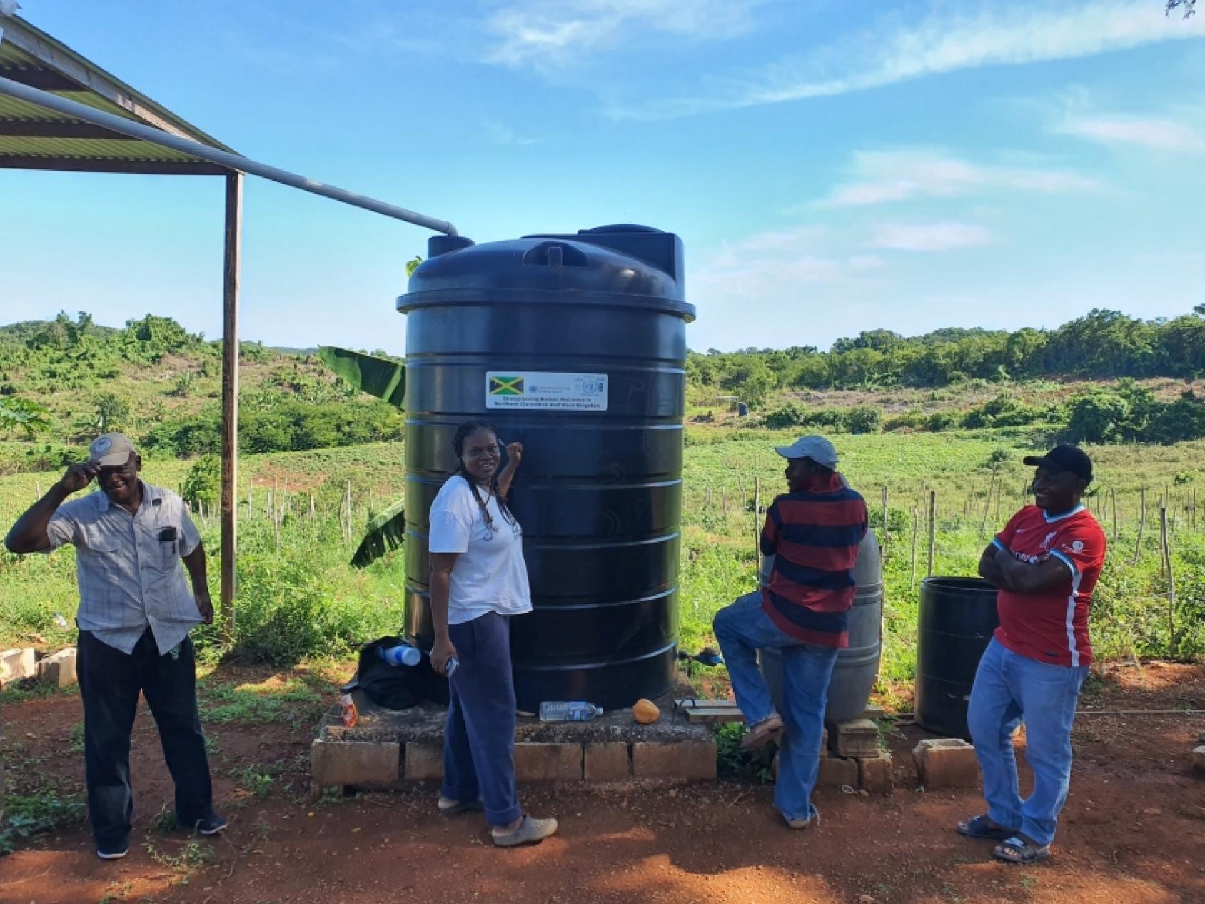 في جامايكا، يقول المزارعون إن أنظمة الري بالتنقيط التي تم تركيبها حديثا تساعد في التغلب على نقص المياه الناجم عن تغير المناخ. تصوير: توماس جوردون مارتن