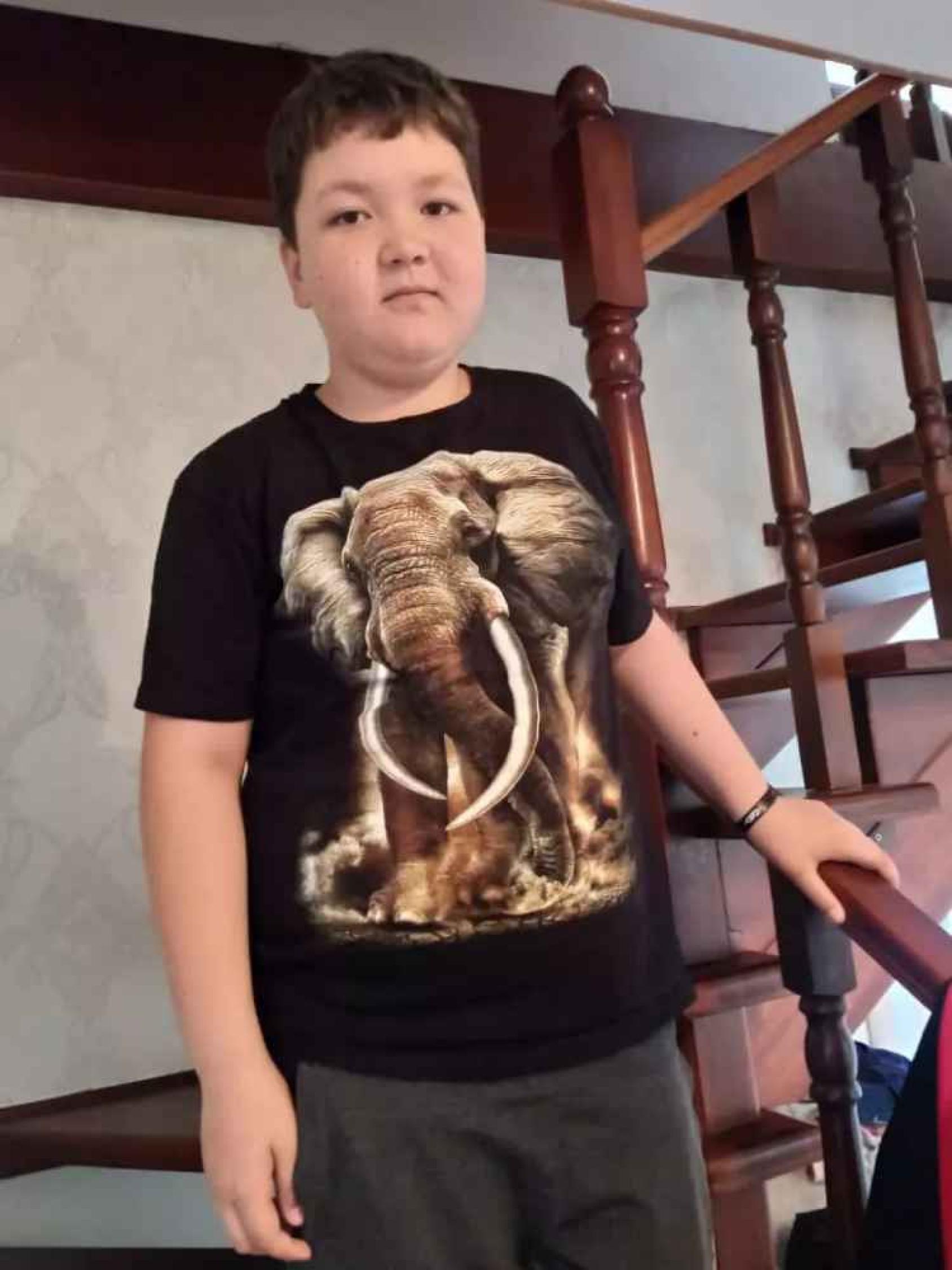 Мальчик в футболке со слоном позирует на лестнице в доме