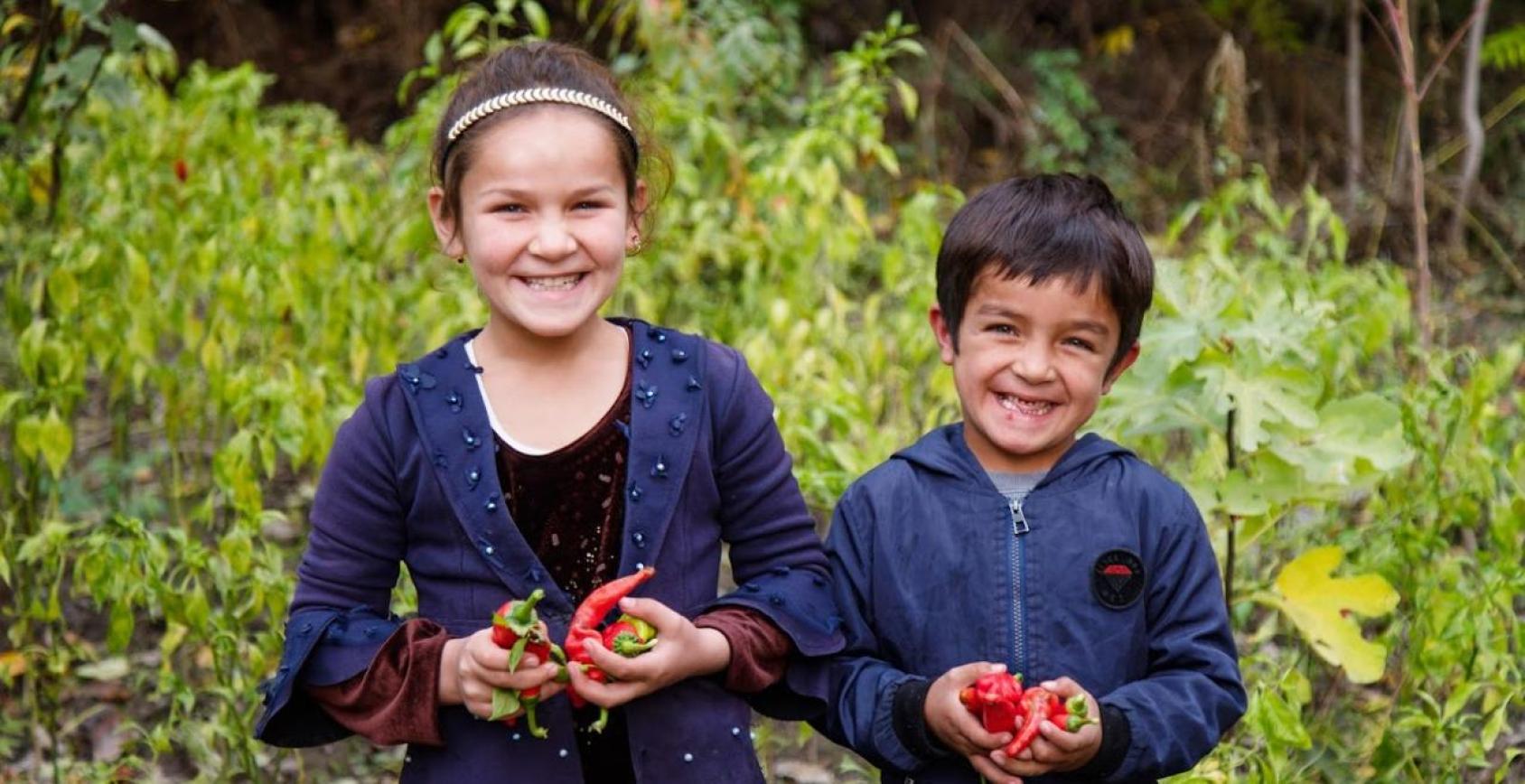 A young girl and a young boy dressed in blue clothes hold bright red peppers in their hand.