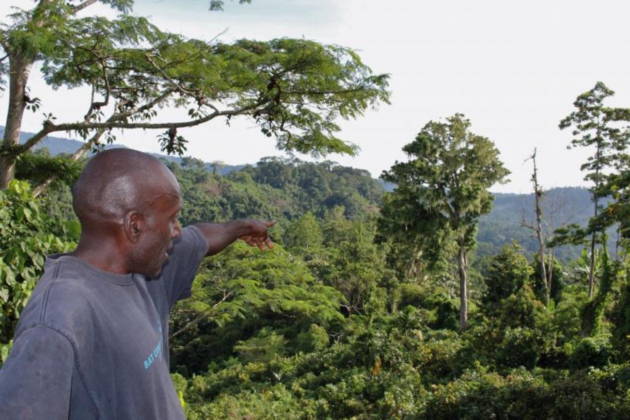 Un homme se tient debout au milieu d'une forêt luxuriante et pointe le doigt vers une des collines verdoyantes qui entourent la vallée.