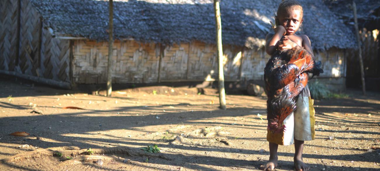 À Taremb, sur l'île de Malekula, à Vanuatu, un jeune garçon se tient debout, en extérieur, face caméra, en tenant un coq par les pattes.