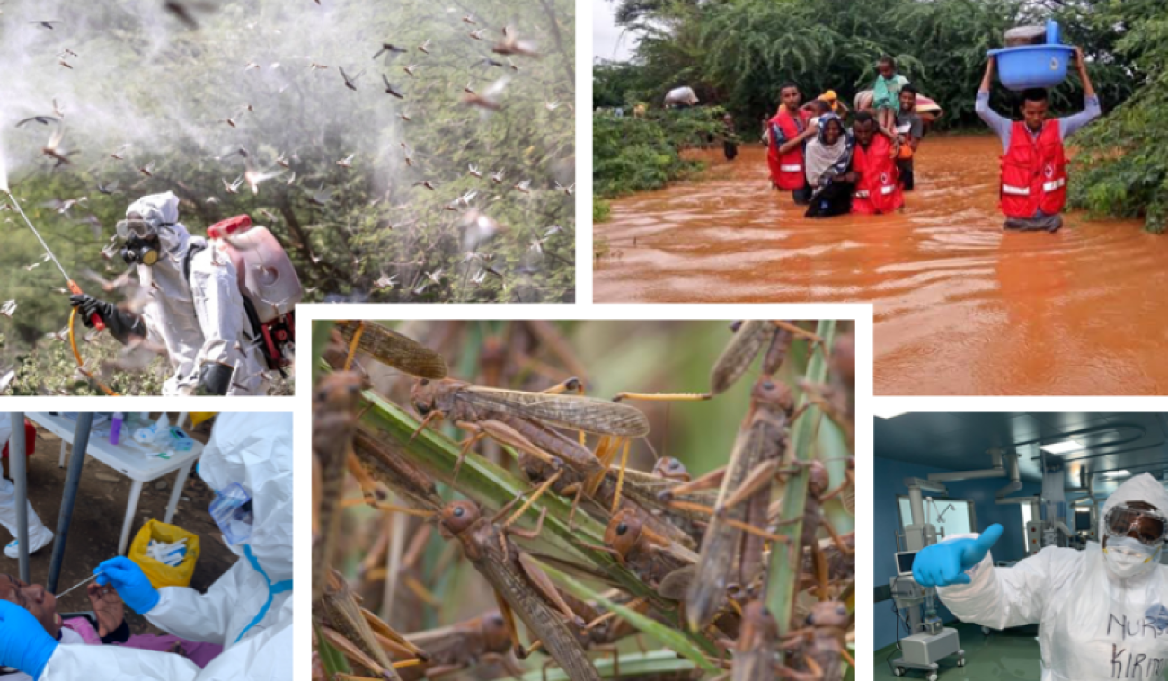 Montage de plusieurs photos montrant différentes scènes en rapport avec les crises que traversent le Kenya : invasion de criquets pèlerins, épandage de pesticides, réalisation de tests de dépistage de la COVID-19.