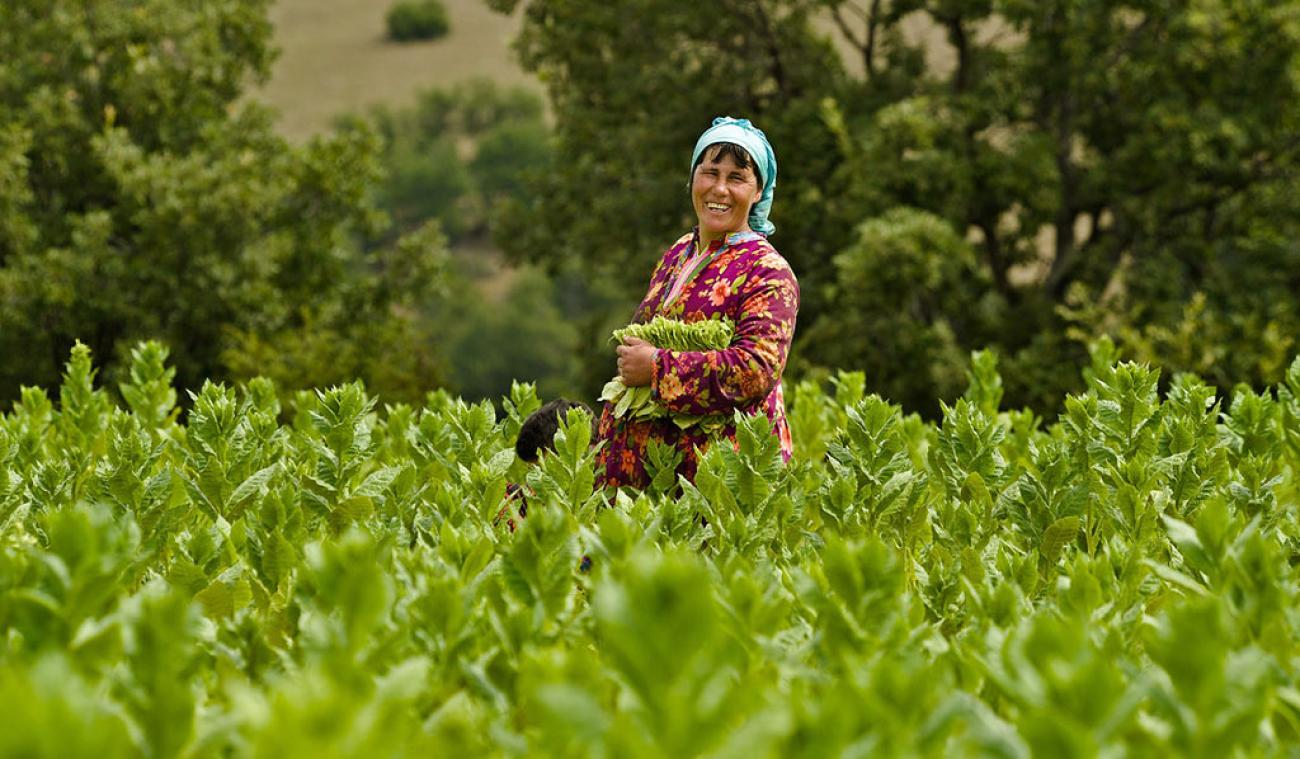 امرأة تبتسم وهي تقف وسط حقل من المحاصيل.