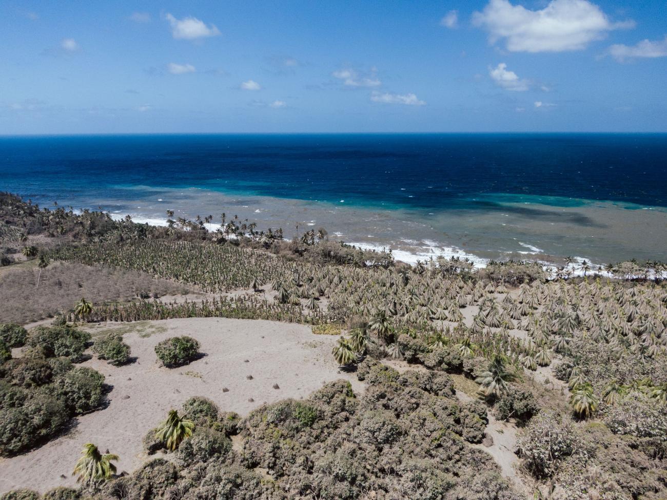 Photo aérienne d'un paysage où l'on aperçoit un rivage, du sable, des rochers et de la végétation.