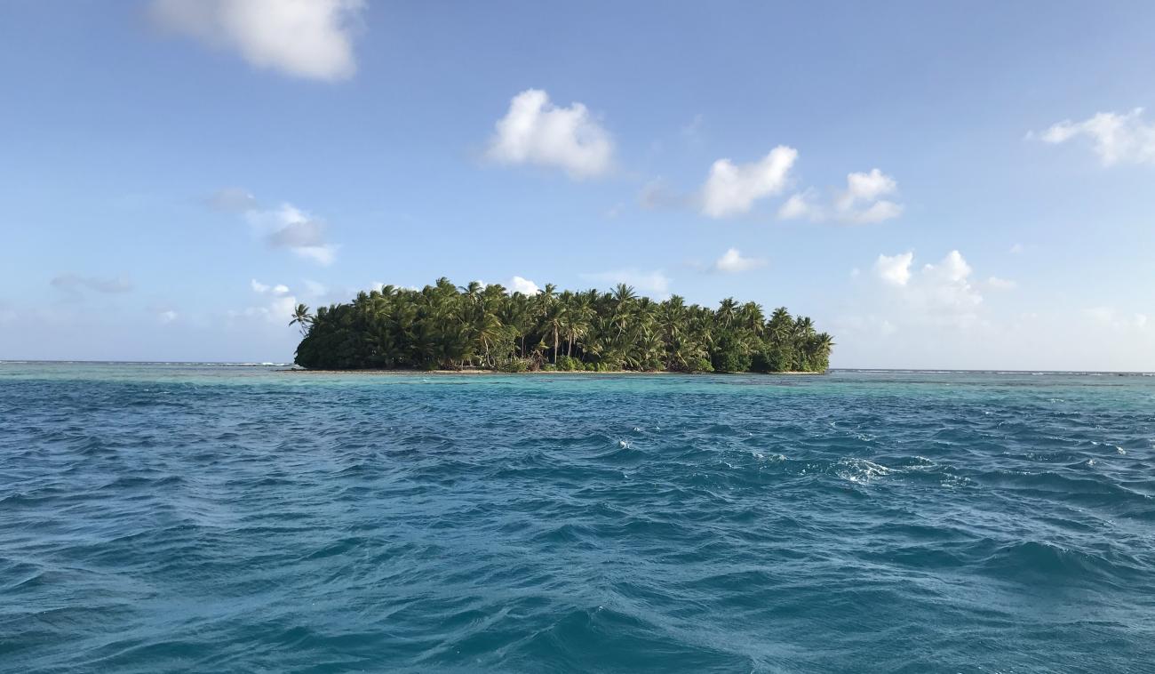 A landscape view of an island full of trees in the ocean on a beautiful day. 