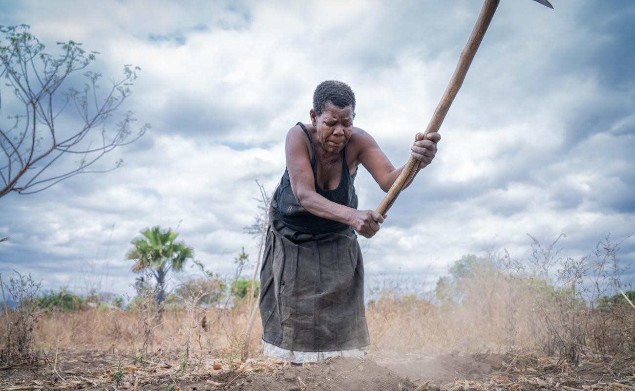 A woman works concentrates as she digs into dirt with a pickaxe on her farm.
