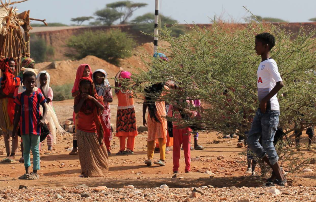 En Érythrée, des enfants portant des habits bariolés jouent au milieu d'un terrain arride parsemé d'arbustes.