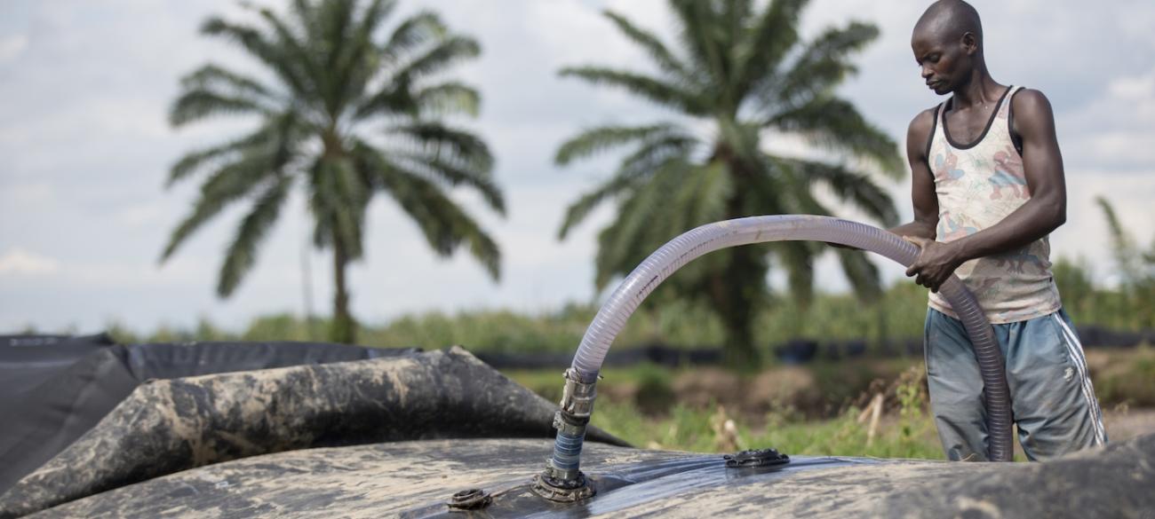 在布隆迪，一名身穿灰色裤子和无袖T恤的年轻人用水管从设置在两棵棕榈树附近的便携式水坝抽水。