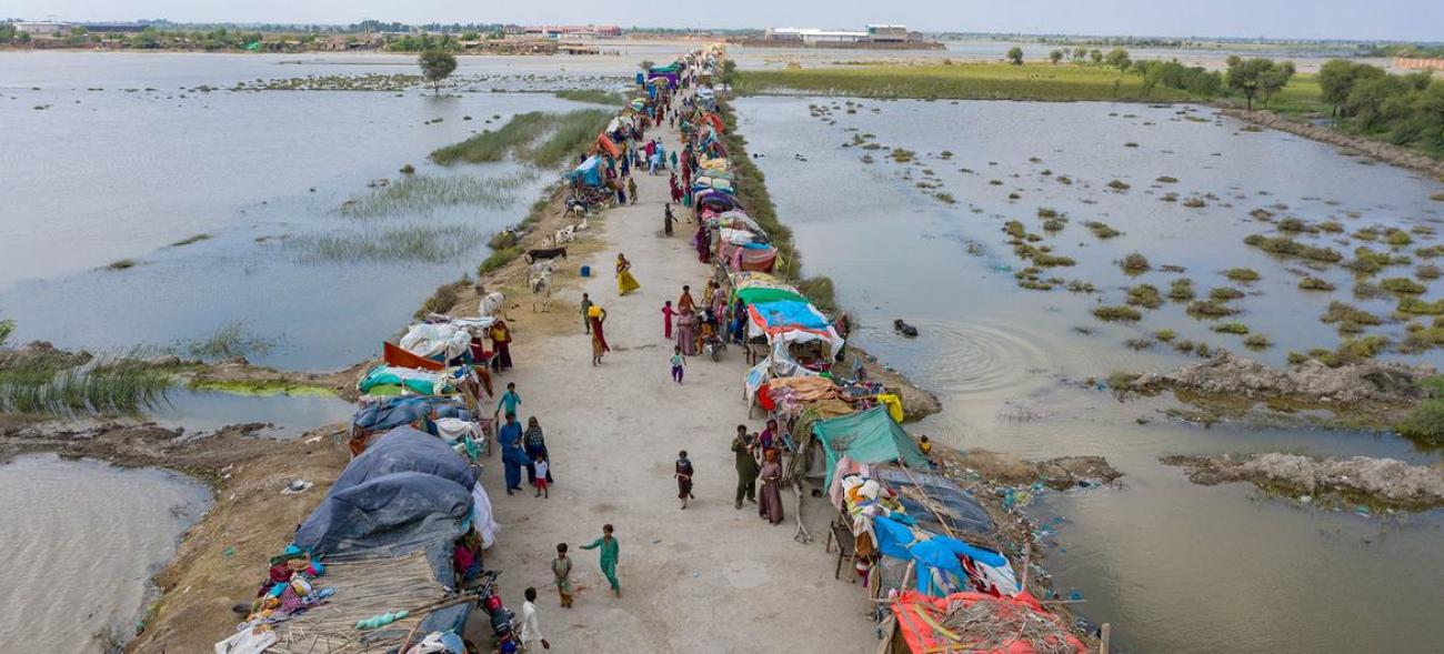 Refugee camp in the flooded area in Pakistan. 