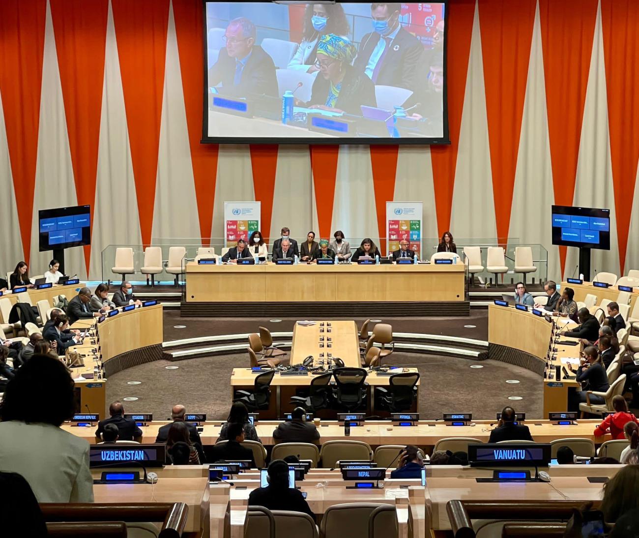 Resident Coordinators sit in the ECOSOC chamber to participate in a dialogue with Member States 