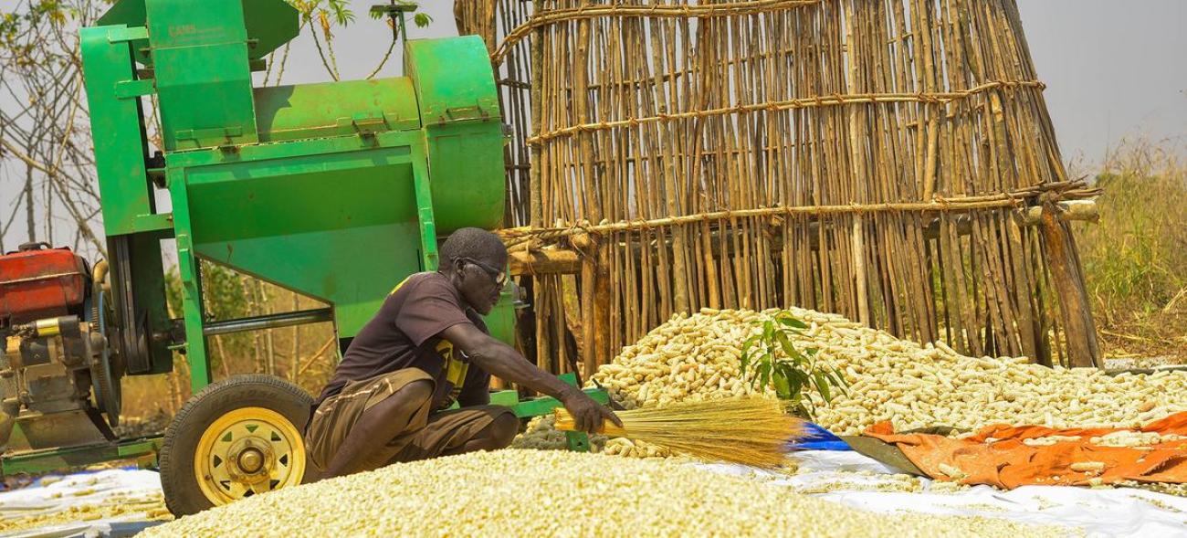 Un petit exploitant agricole transforme du maïs dans la région de Gambella en Éthiopie.