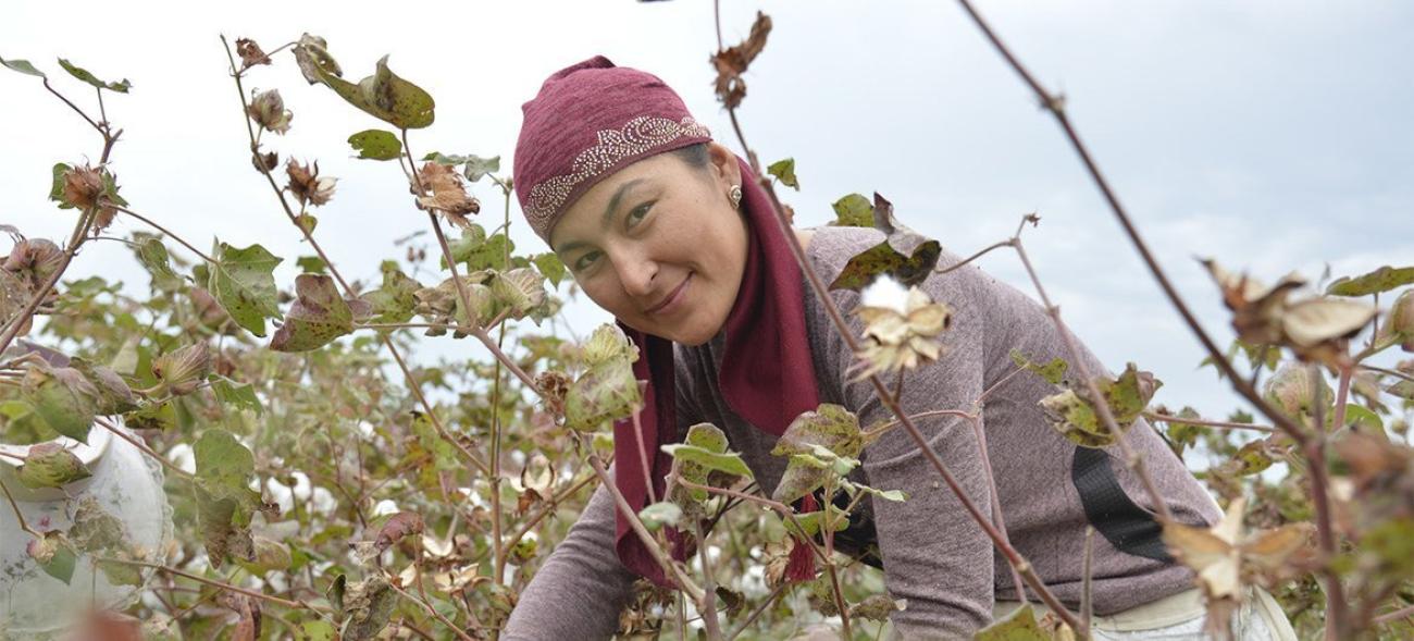 Женщина ухаживает за засыхающими растениями в поле
