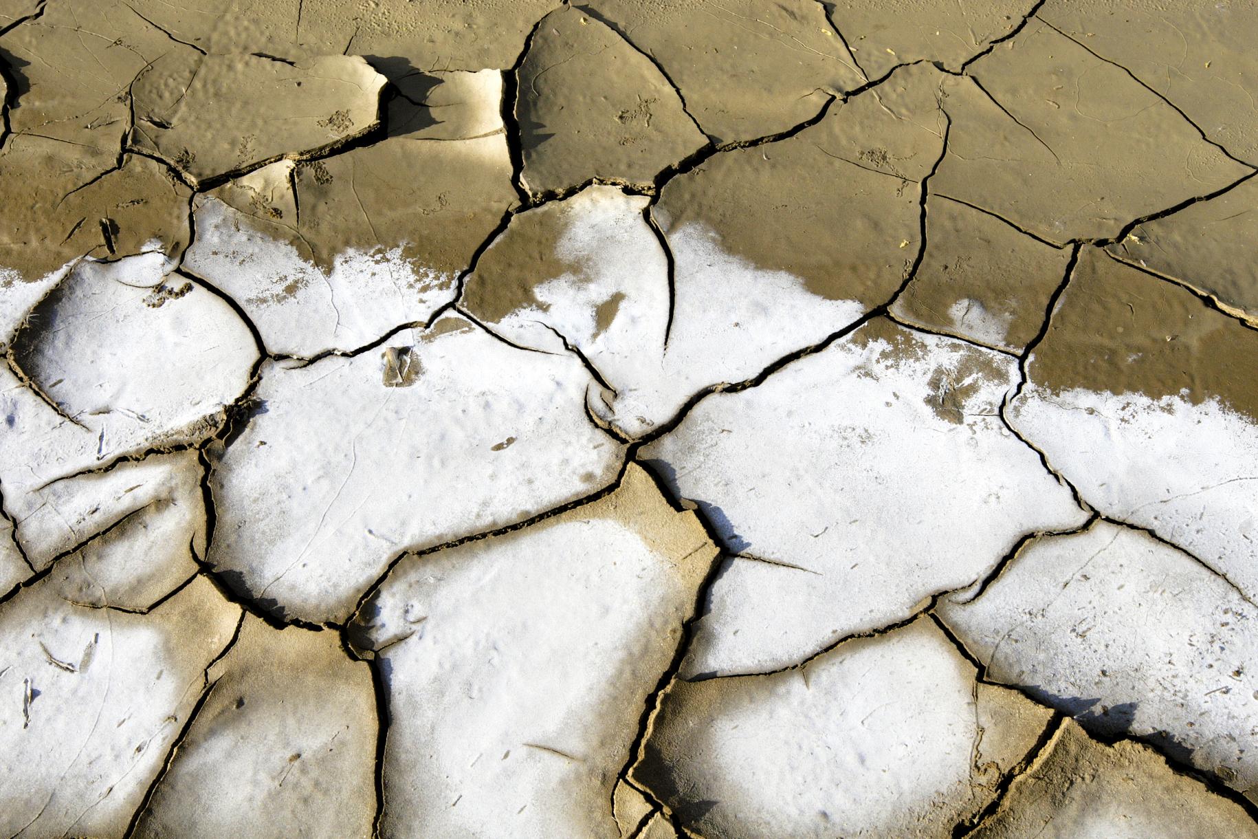 Suelo seco y quebradizo. La imagen muestra la devastación que la sequía y la escasez de agua pueden provocar en el suelo.