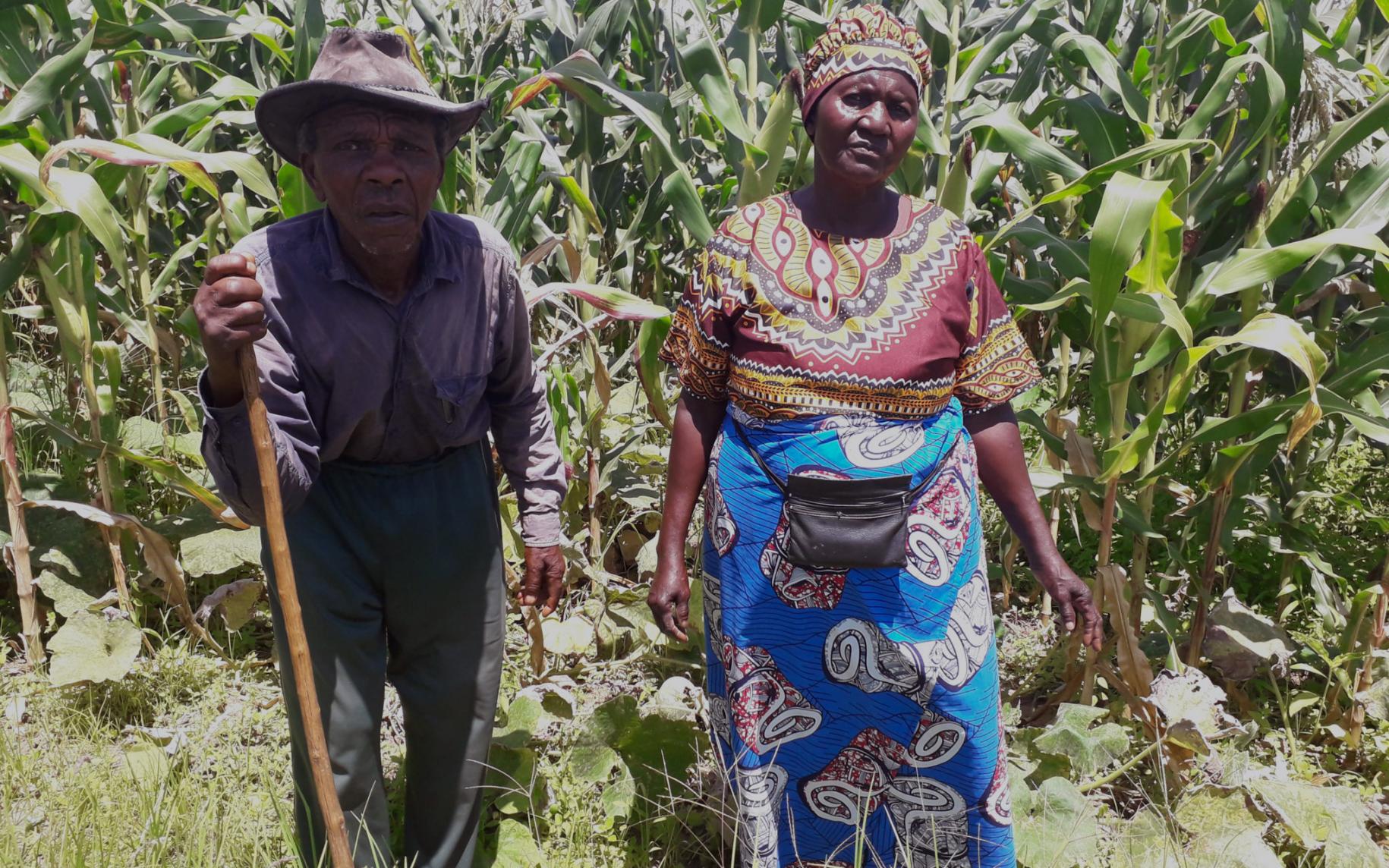 Los agricultores locales, Dingane y Nancy Sithole, parados uno al lado del otro, posan orgullosos frente a un terreno de cultivo.