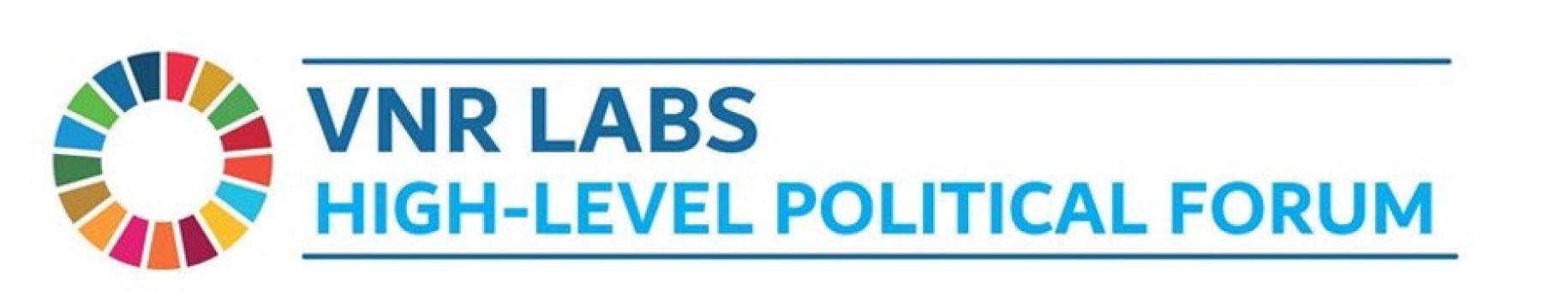 VNR Labs banner shows the SDG wheel with the title VNR Labs: High-level Political Forum