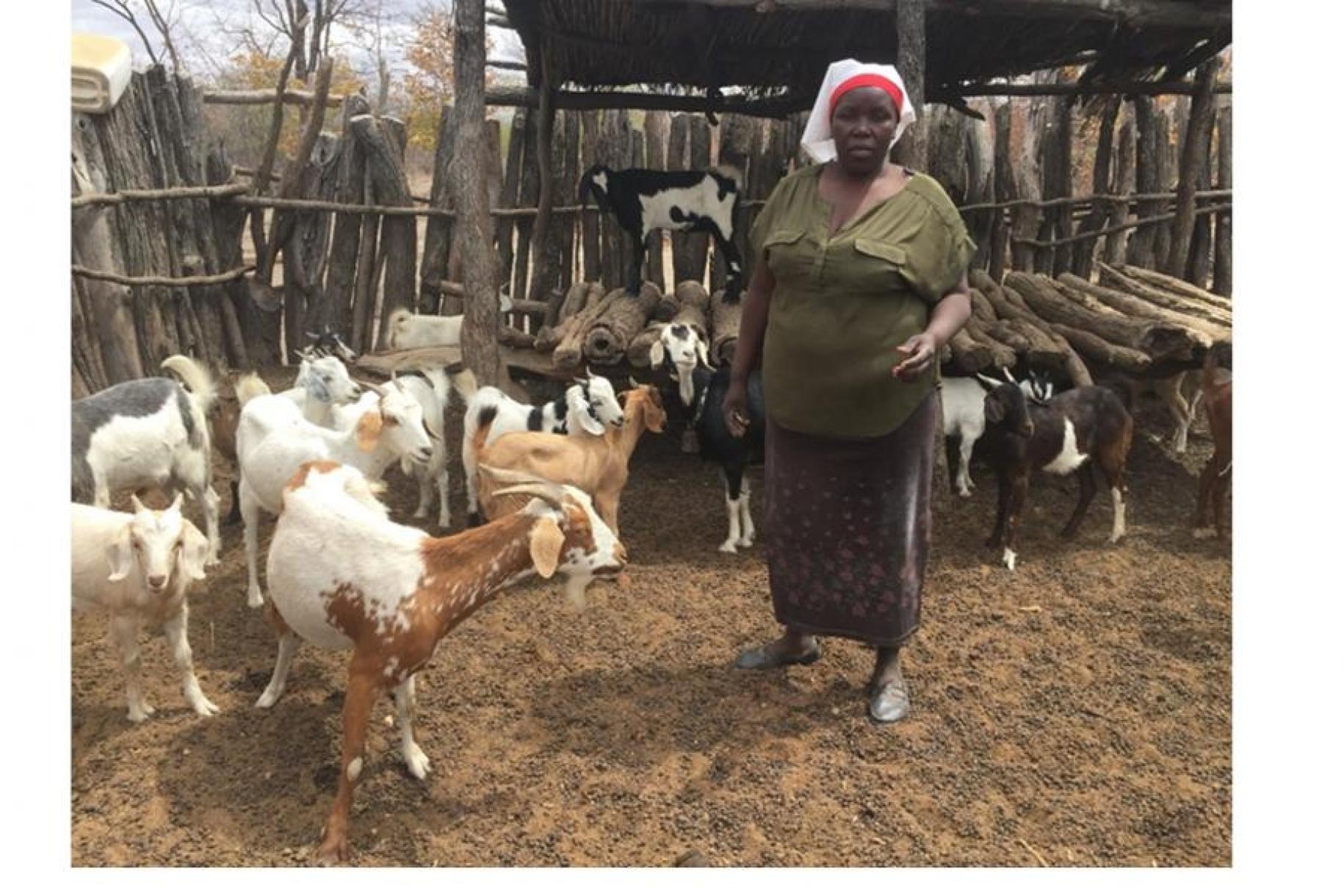 A female farmer stands outside surrounded by goats.