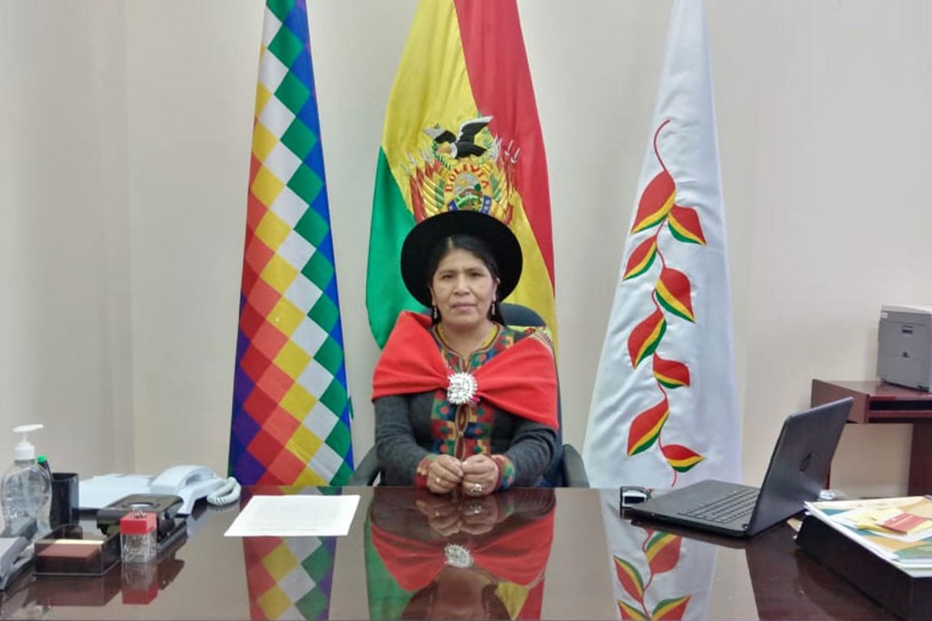 A woman dressed in traditional Bolivian garb in front of three flags. 