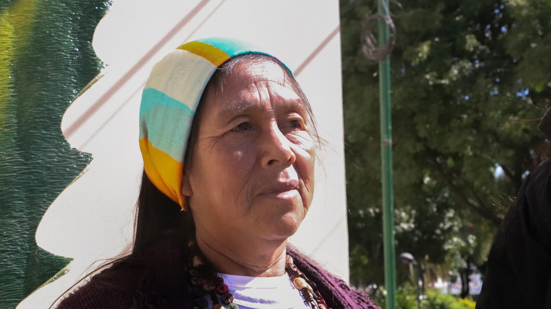 Primer plano del rostro de una mujer con una bandana en la cabeza. Se trata de Nancy López, cacique de la comunidad wheenahek en Tartagal Argentina.