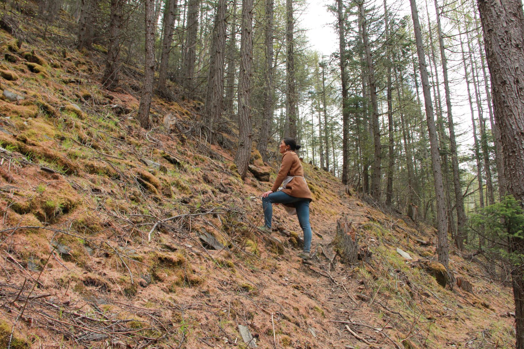 A woman stading on a slope of a mountain, with tall trees in the background.