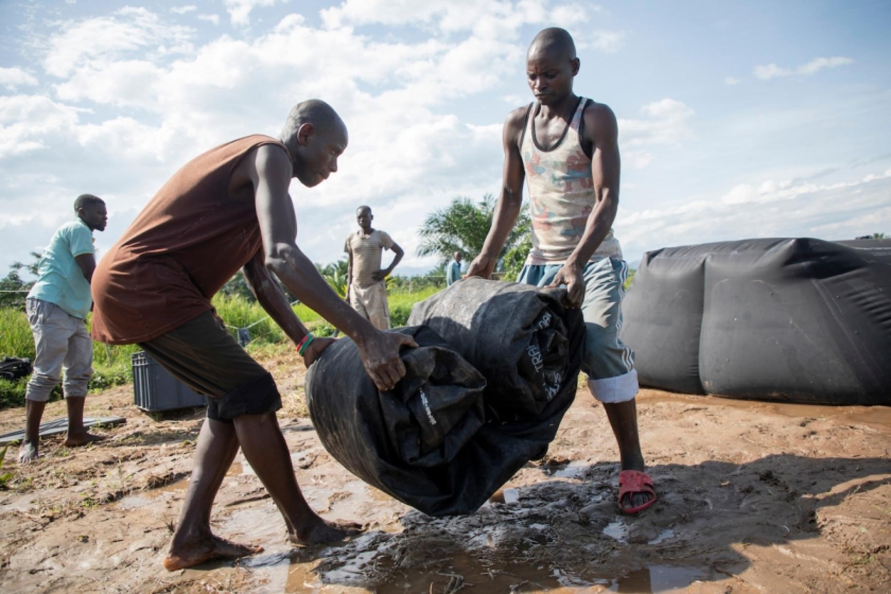 En Burundi, en un día soleado, dos hombres jóvenes levantan una gran lona negra enrollada en medio de un terreno fangoso, mientras otros dos hombres permanecen cerca.