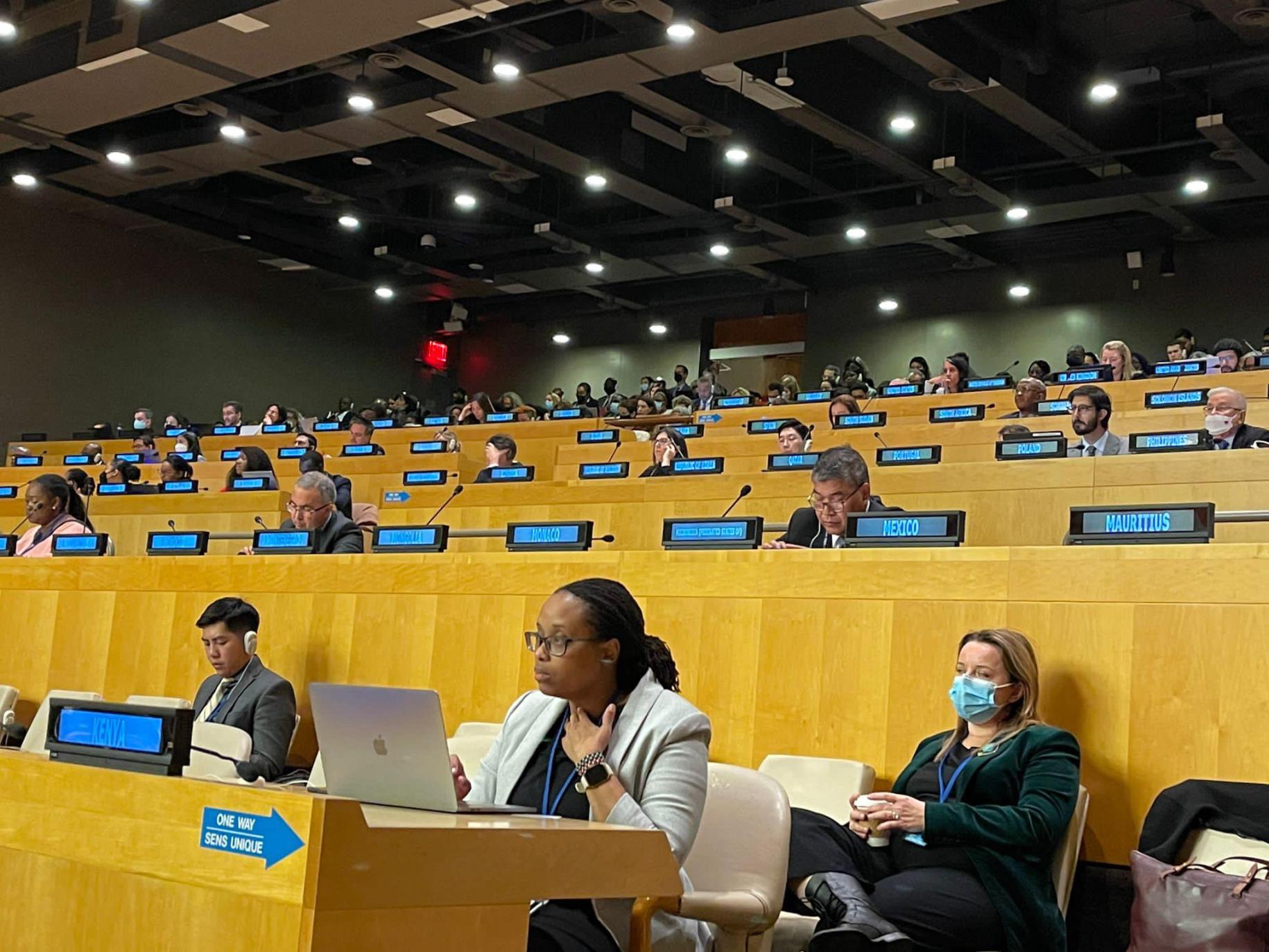 Resident Coordinators sit in the ECOSOC chamber to participate in a dialogue with Member States 