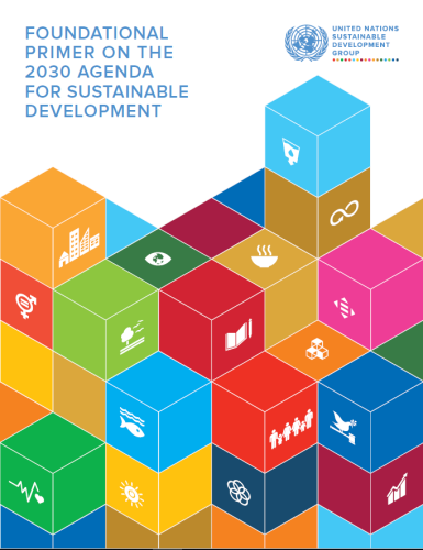 Cover shows title placed on the top left of the document, displayed above colourful SDG building blocks, several of which contain the SDG logos. 