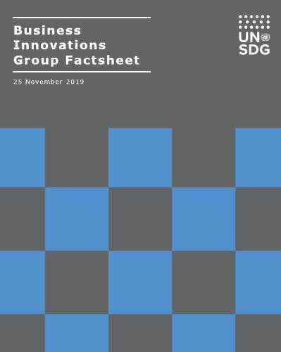 Business Innovations Group Factsheet cover shows the title against a solid background with a checkered pattern beneath.