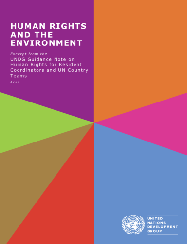 Cover shows the title "Human Rights and the Environment" against colourful diagonal shapes.